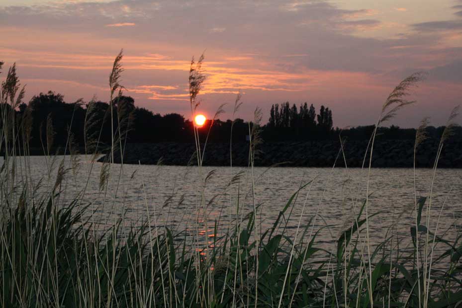 Sonnenuntergang ber dem Bodden